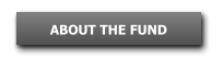 ABOUT THE FUND