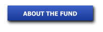 ABOUT THE FUND